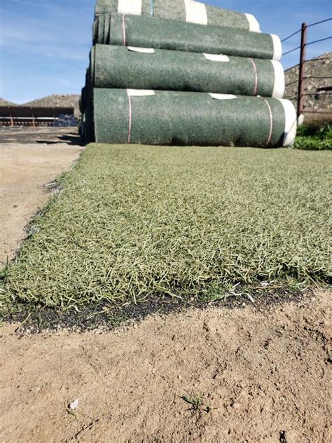 Artificial turf can withhold a lot of wear and tear without showing it. . Used artificial turf for sale near me